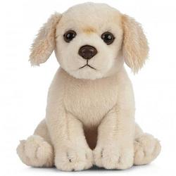 Foto van Pluche golden retriever honden knuffel 16 cm zittend - golden retriever huisdieren knuffels - speelgoed