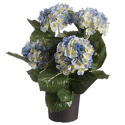 Foto van Blauwe hortensia hydrangea kunstplant in zwarte kunststof pot 44 cm - kunstplanten