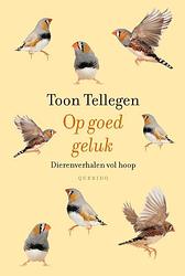 Foto van Op goed geluk - toon tellegen - ebook (9789021455273)