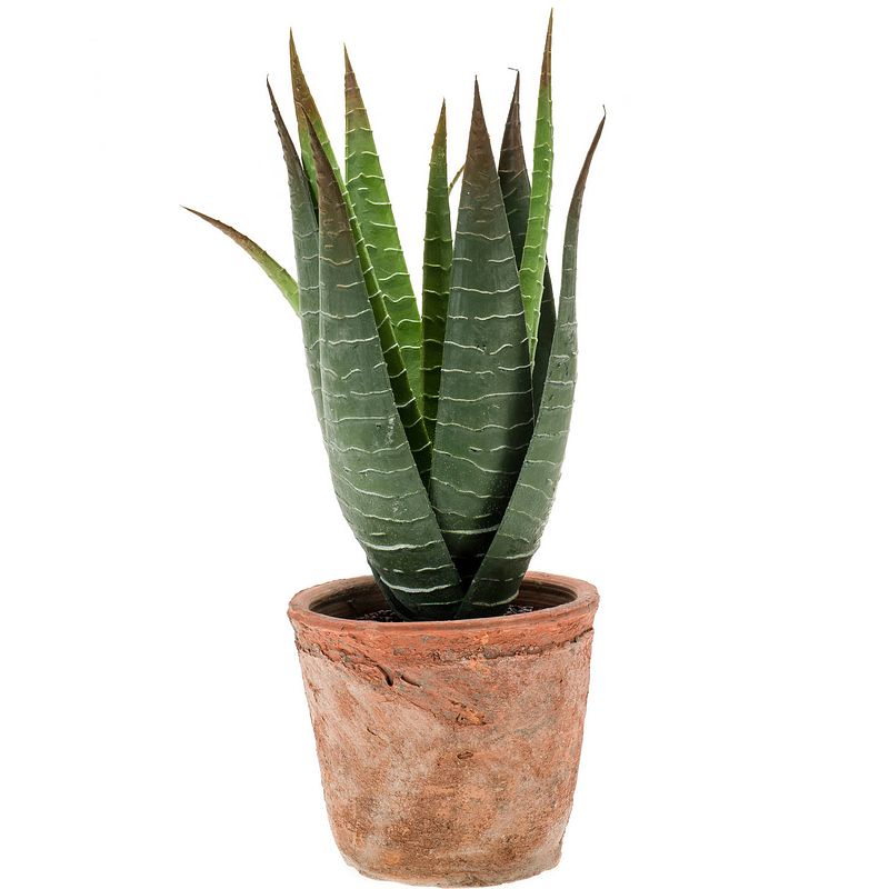 Foto van Aloe vera kunstplant in terracotta pot 23 cm - kunstplanten