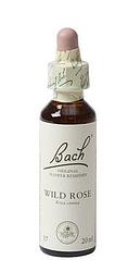 Foto van Bach flower remedies hondsroos 37