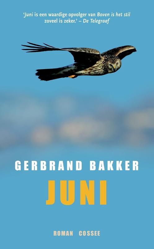 Foto van Juni - gerbrand bakker - ebook (9789059363366)