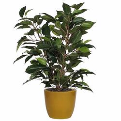 Foto van Groene ficus kunstplant 40 cm met plantenpot okergeel d13.5 en h12.5 cm - kunstplanten