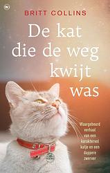 Foto van De kat die de weg kwijt was - britt collins - ebook (9789044348316)