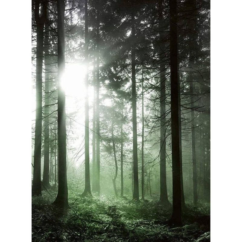 Foto van Wizard+genius sun rays vlies fotobehang 192x260cm 4-banen