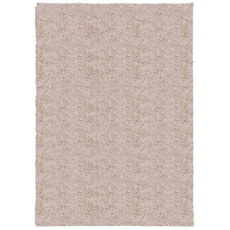 Foto van Vidaxl vloerkleed pamplona shaggy hoogpolig modern 120x170 cm beige