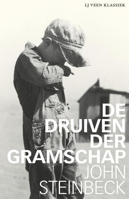 Foto van De druiven der gramschap - john steinbeck - ebook (9789025440848)