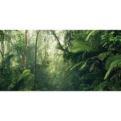 Foto van Komar fotobehang tropenwelten 500x250 cm