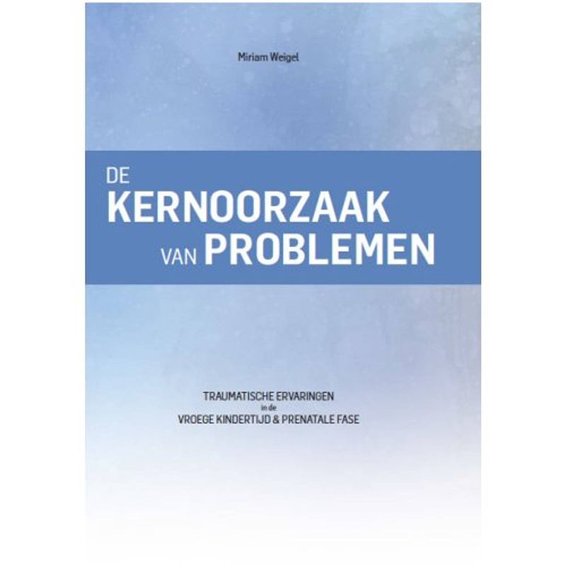 Foto van De kernoorzaak van problemen