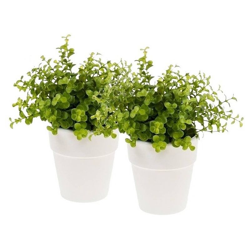 Foto van 2x kunstplant eucalyptus groen in witte pot 22 cm - kunstplanten