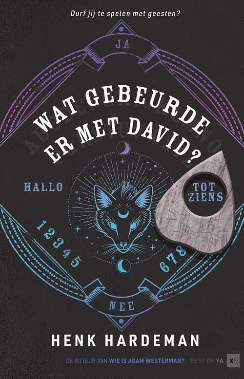 Foto van Wat gebeurde er met david? - henk hardeman - hardcover (9789000383481)