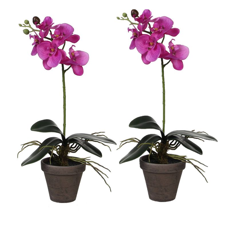 Foto van 2x stuks phalaenopsis orchidee kunstplanten paars in grijze pot h48 x d13 cm - kunstplanten