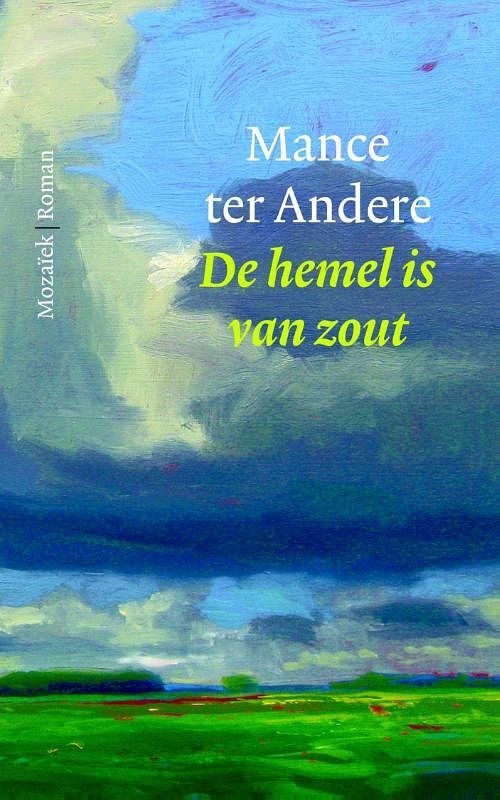 Foto van De hemel is van zout - mance ter andere - ebook (9789023919988)