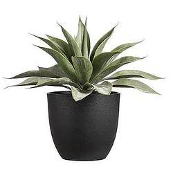 Foto van Kunstplant agave in pot - groen - 43,5xø48 cm - leen bakker