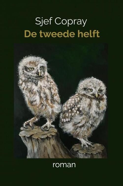 Foto van De tweede helft - sjef copray - paperback (9789403683270)