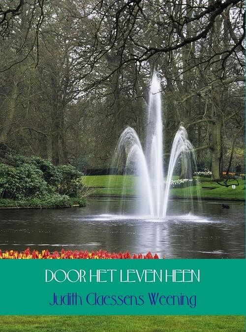 Foto van Door het leven heen - judith claessens weening - ebook (9789462542921)