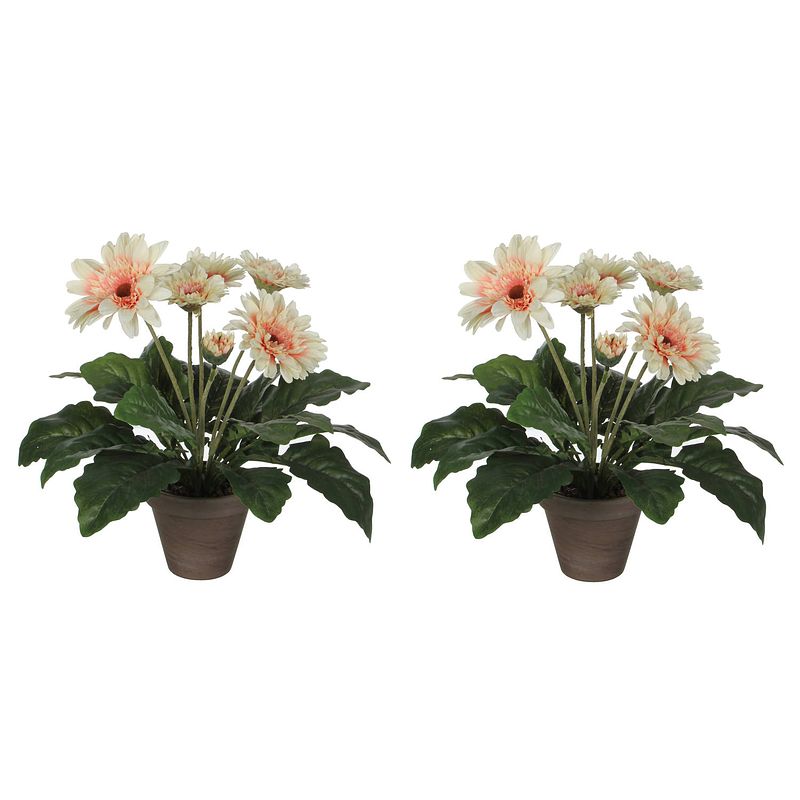 Foto van 2x stuks gerbera kunstplanten creme in keramiek pot h35 cm - kunstplanten