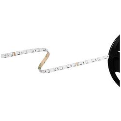 Foto van Barthelme basic rgb 51541331 led-strip met open kabeleinde 24 v 5 m rgb