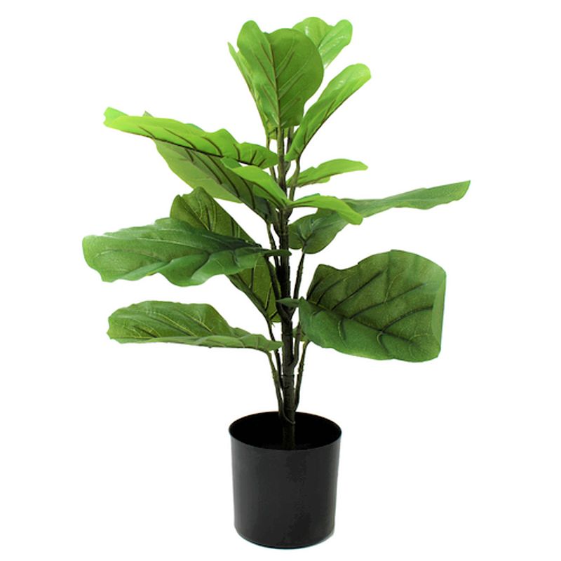 Foto van Ficus kunstplant 60cm