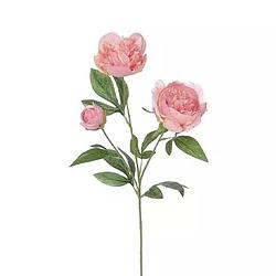 Foto van Pioenroos tak oud roze 67 cm kunstplant
