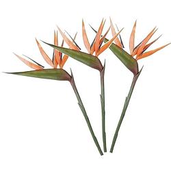 Foto van 3x oranje strelitzia/paradijsvogelbloem kunstbloemen 90 cm - kunstbloemen
