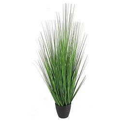 Foto van Non-branded kunstplant poaceae 75 cm polysteen groen