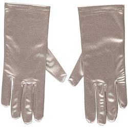 Foto van Zilveren satijnen verkleed handschoenen 20 cm - verkleedhandschoenen