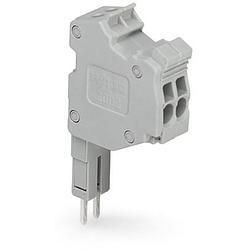 Foto van Wago 2000-553 connector, female 25 stuk(s)