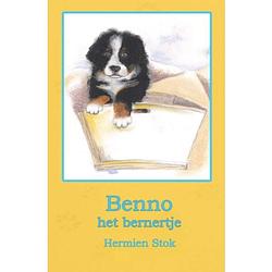 Foto van Benno het bernertje - benno de berner sennenhond