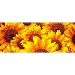 Foto van Dimex helianthus vlies fotobehang 375x150cm 2-delen