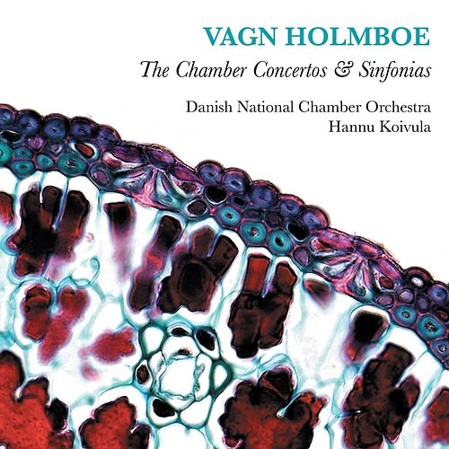 Foto van Holmboe: the chamber concertos & sinfonias - cd (0636943600412)