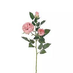 Foto van Buitengewoon de boet - engelse roos tak oud roze 64 cm kunstplant
