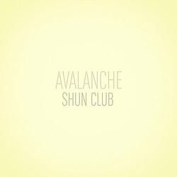 Foto van Avalanche - cd (5411530501359)