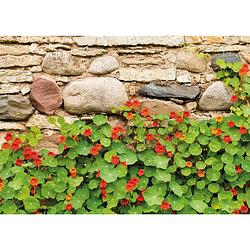 Foto van Tuinschilderij nasturtium wall 70x130cm