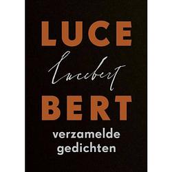 Foto van Lucebert