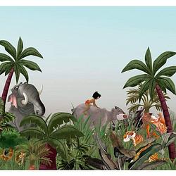 Foto van Komar jungle book vlies fotobehang 300x280cm 6-banen