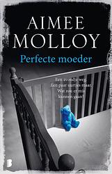 Foto van Perfecte moeder - aimee molloy - ebook (9789402310191)