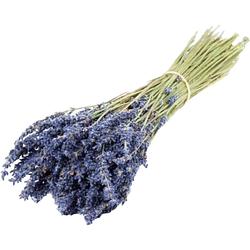 Foto van Maison dabri bosje met lavendel lavender gedroogd