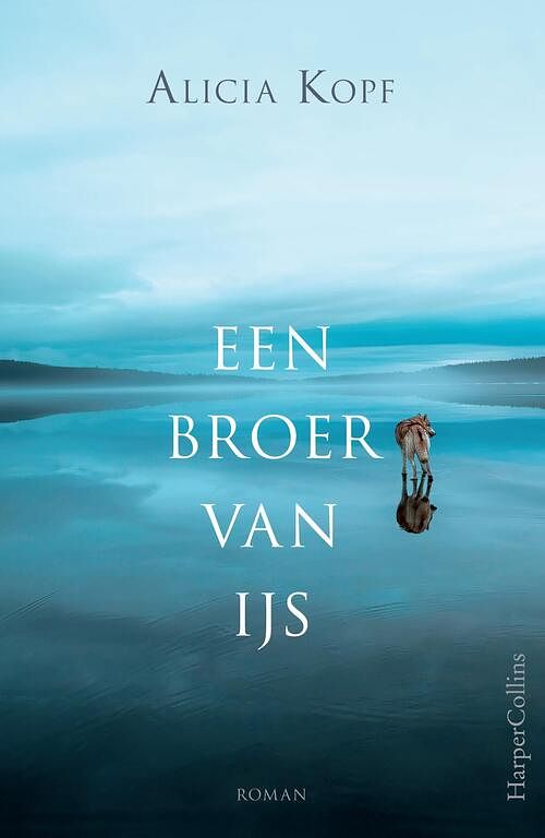 Foto van Een broer van ijs - alicia kopf - ebook (9789402753714)