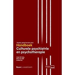 Foto van Handboek culturele psychiatrie en psychotherapie