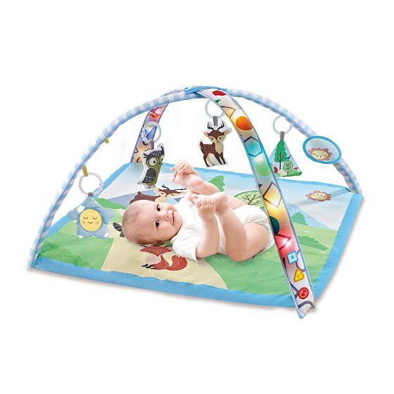 Foto van Chipolino forest babygym activity speelkleed met muziek & licht