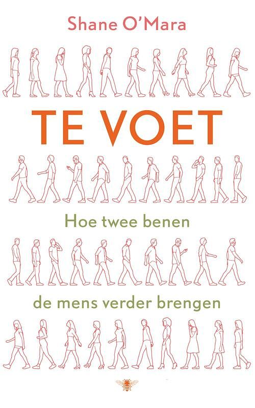 Foto van Te voet - shane o'smara - ebook (9789403155708)