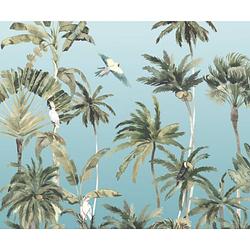 Foto van Fotobehang - forêt de palmiers 300x250cm - vliesbehang