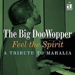 Foto van Feel the spirit. a tribute to mahal - cd (0038153076627)