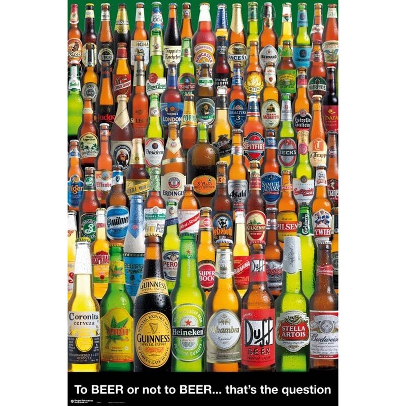 Foto van Grupo erik beer to beer or not to beer poster 61x91,5cm