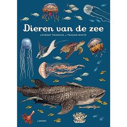 Foto van Dieren van de zee