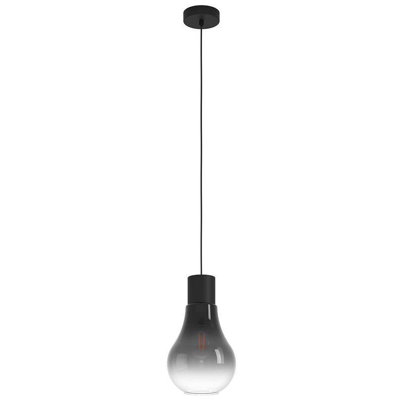 Foto van Eglo chasely hanglamp - e27 - ø 20 cm - zwart