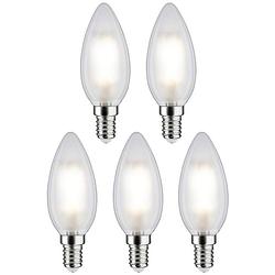 Foto van Paulmann 29095 led-lamp energielabel f (a - g) e14 kaars 4.8 w warmwit (ø x h) 35 mm x 98 mm 5 stuk(s)