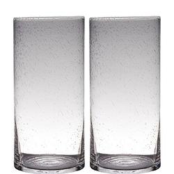 Foto van Set van 2x stuks transparante home-basics cylinder vorm vaas/vazen van bubbel glas 40 x 19 cm - vazen
