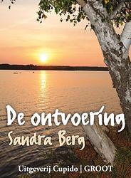 Foto van De ontvoering - sandra berg - ebook (9789462040267)